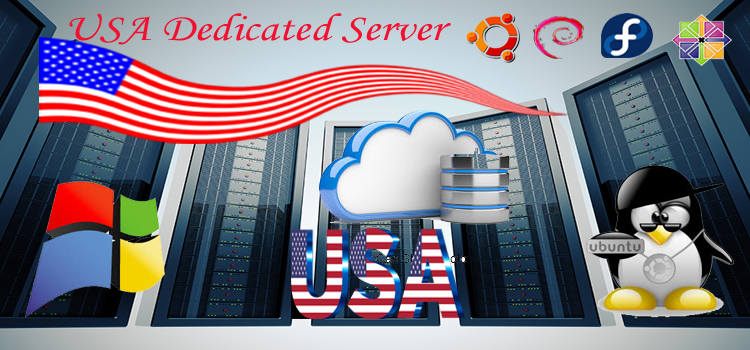 Dedicated Server Hosting USA